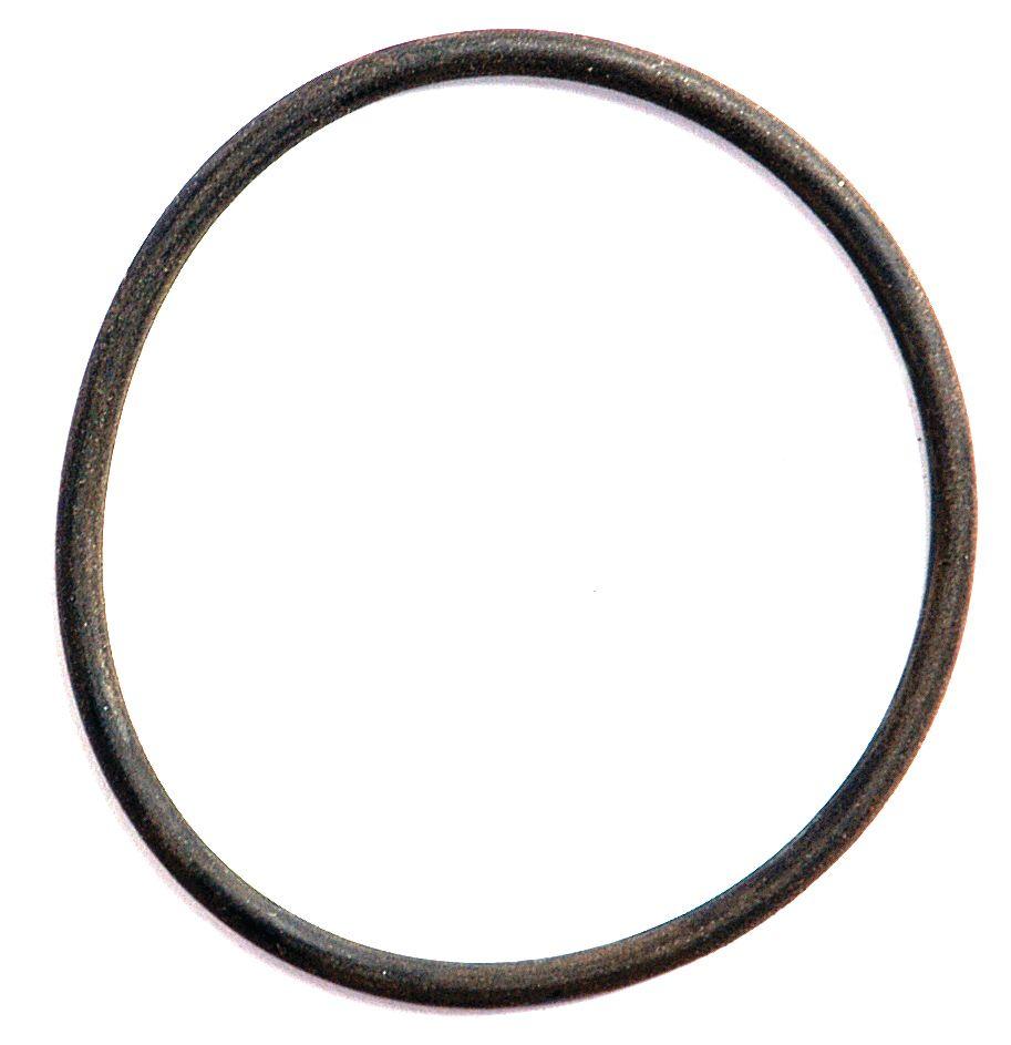 LANDINI O'RING-3X54MM 12847