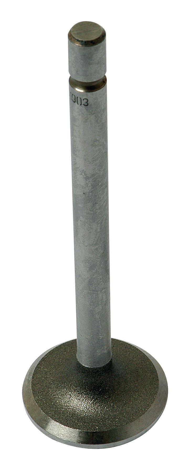 MASSEY FERGUSON VALVE-INLET 61903