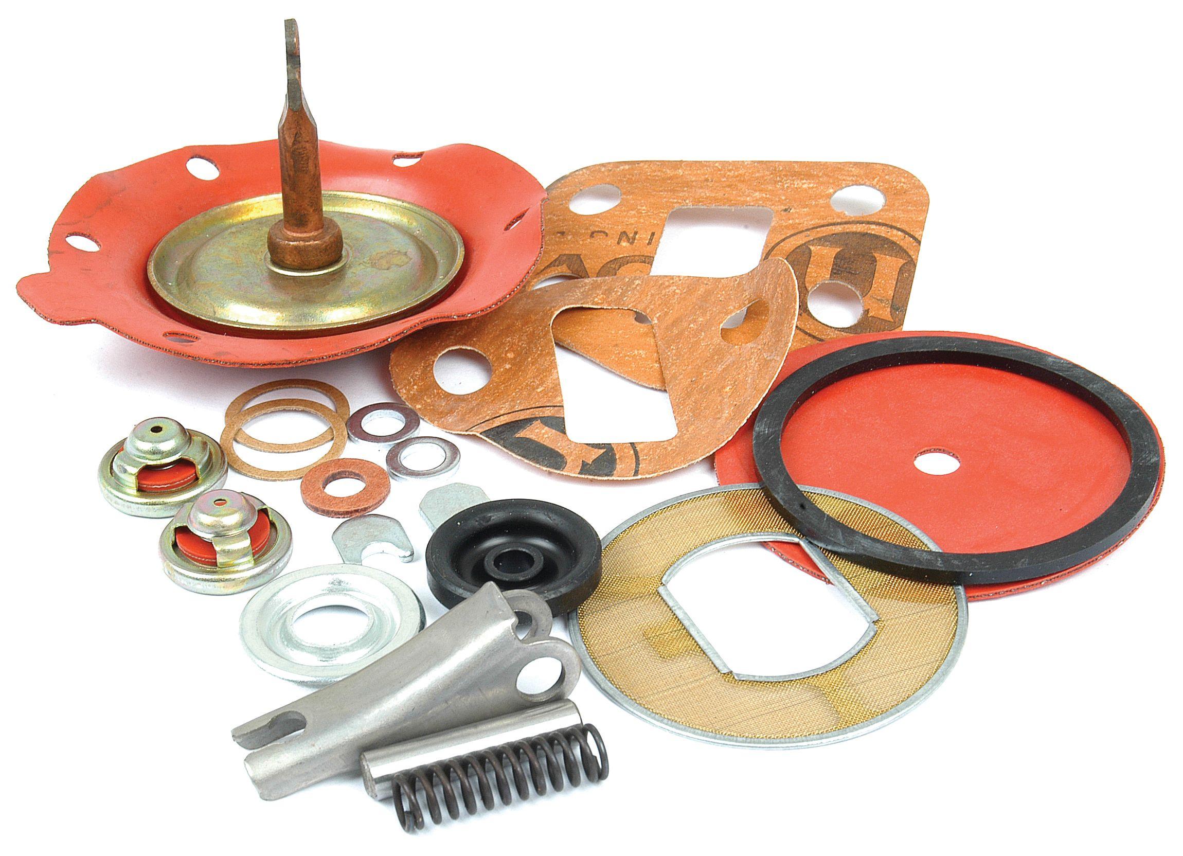 LANDINI FUEL PUMP REPAIR KIT 41634