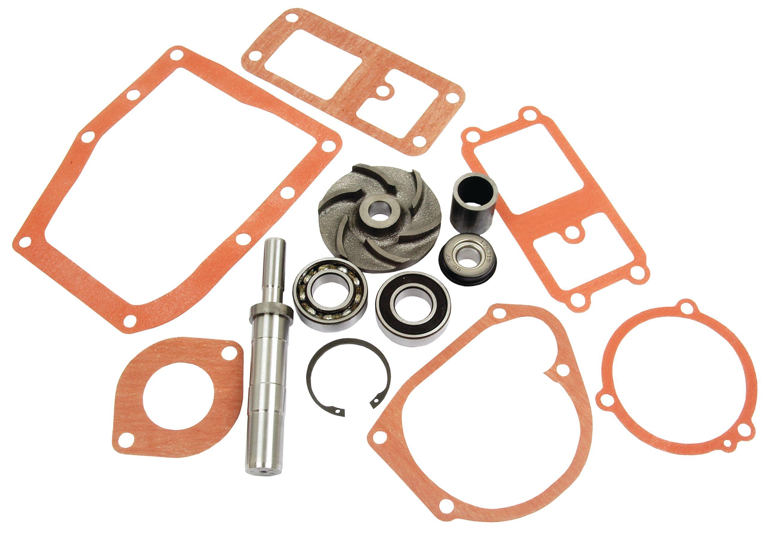 MASSEY FERGUSON WATER PUMP REPAIR KIT 41611