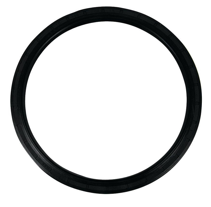 CASE IH SEAL-190X220X15MM 62310