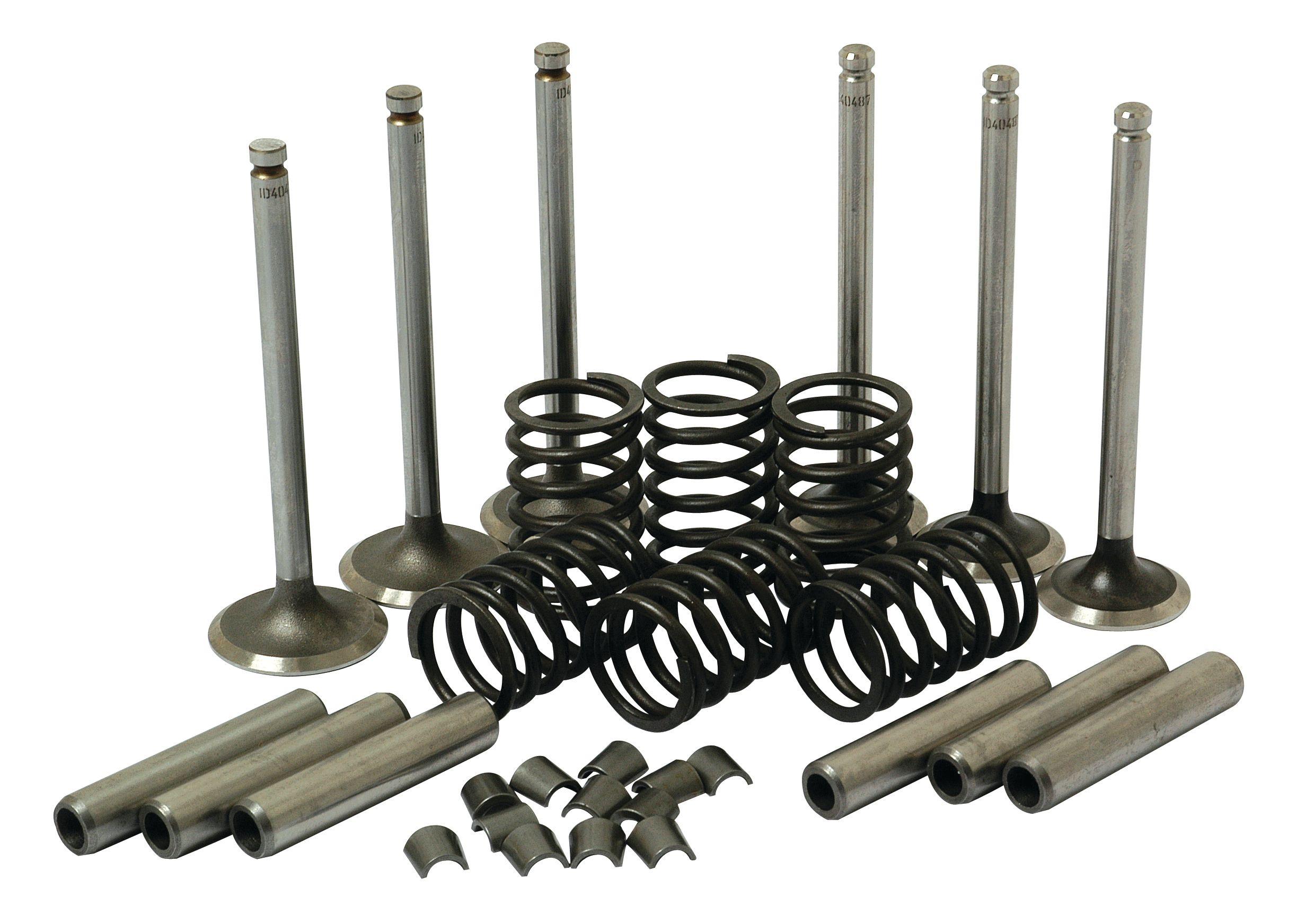 LANDINI VALVE TRAIN KIT 41587