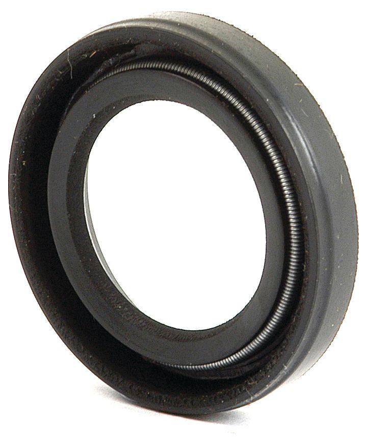 PERKINS SEAL 41371