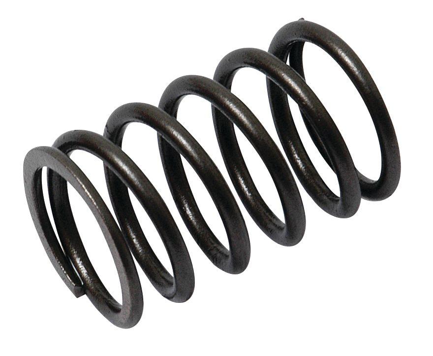 MASSEY FERGUSON SPRING-VALVE-INNER 40498