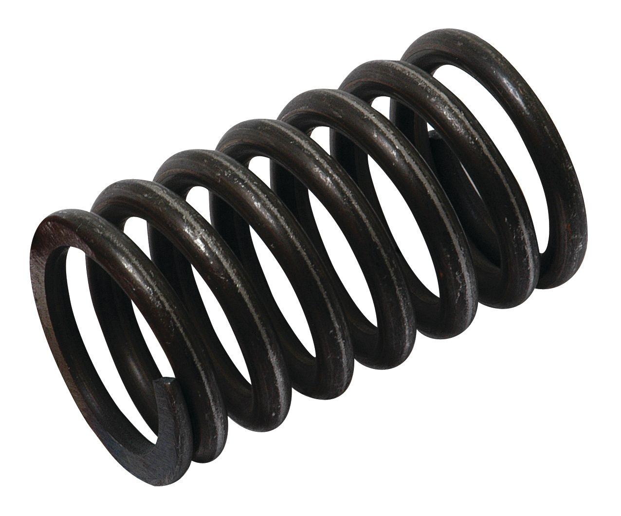FORD NEW HOLLAND SPRING-VALVE-OUTER 65709
