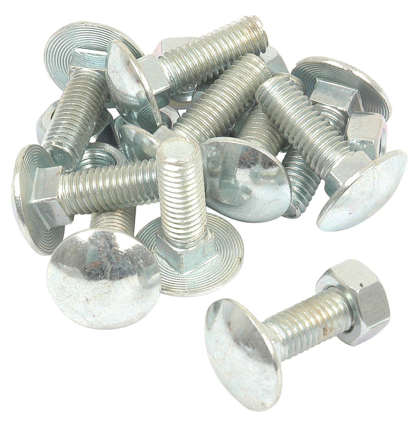 LANDINI CARRIAGE BOLT & NUT M8X25MM 8244