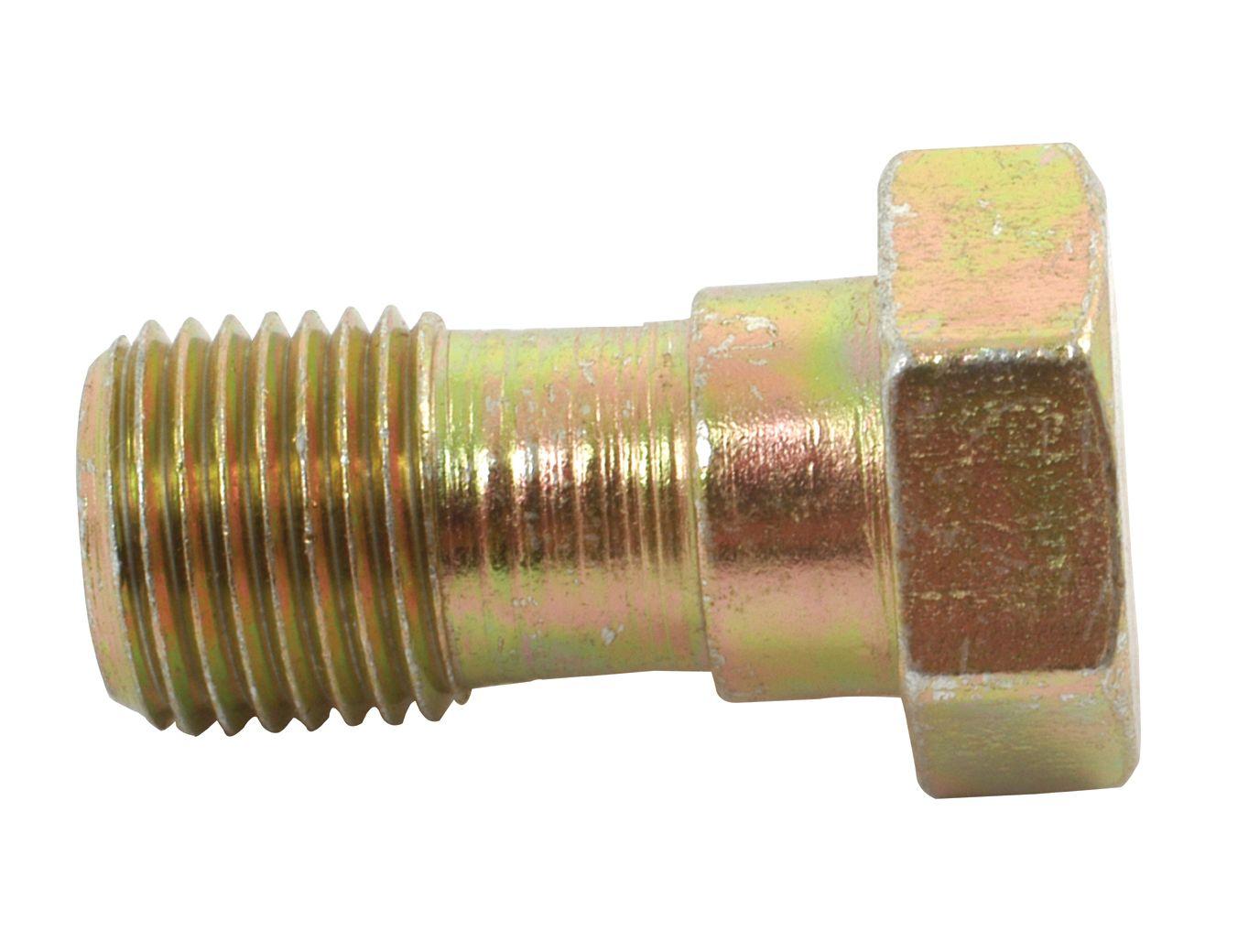 MASSEY FERGUSON INJECTOR BANJO BOLT 41880