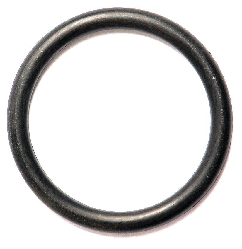 FIAT O'RING-3/16"X1.3/4" 10430