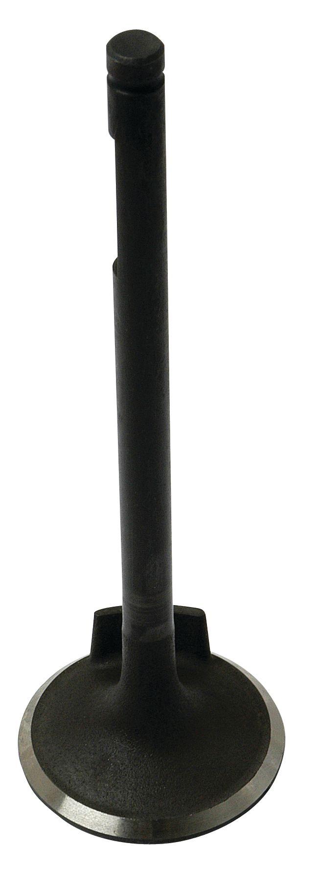 FIAT VALVE-INLET 62058