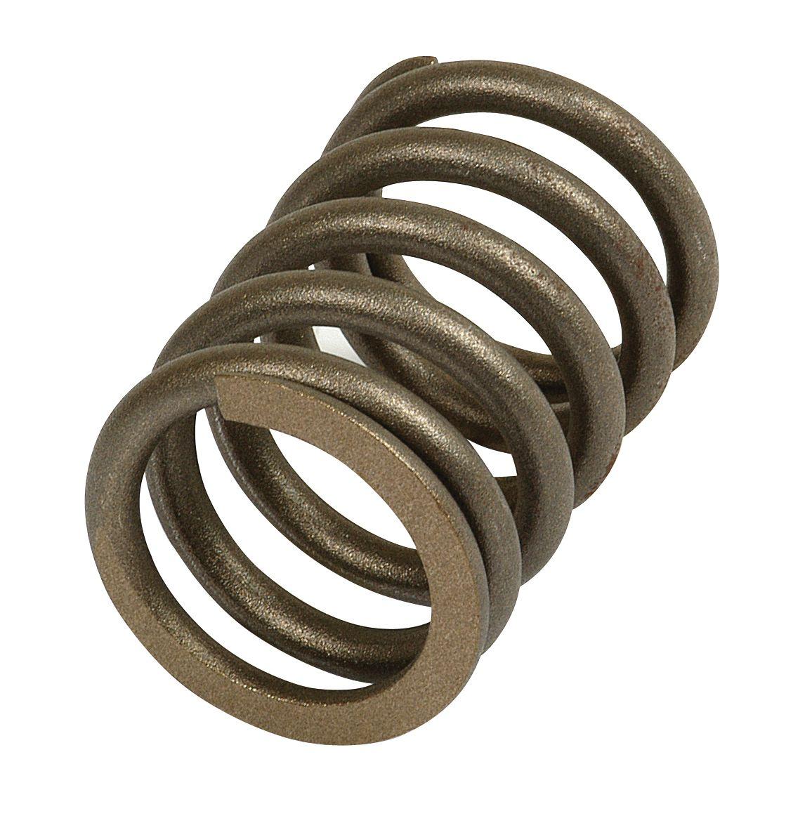 CASE IH SPRING-VALVE 57606