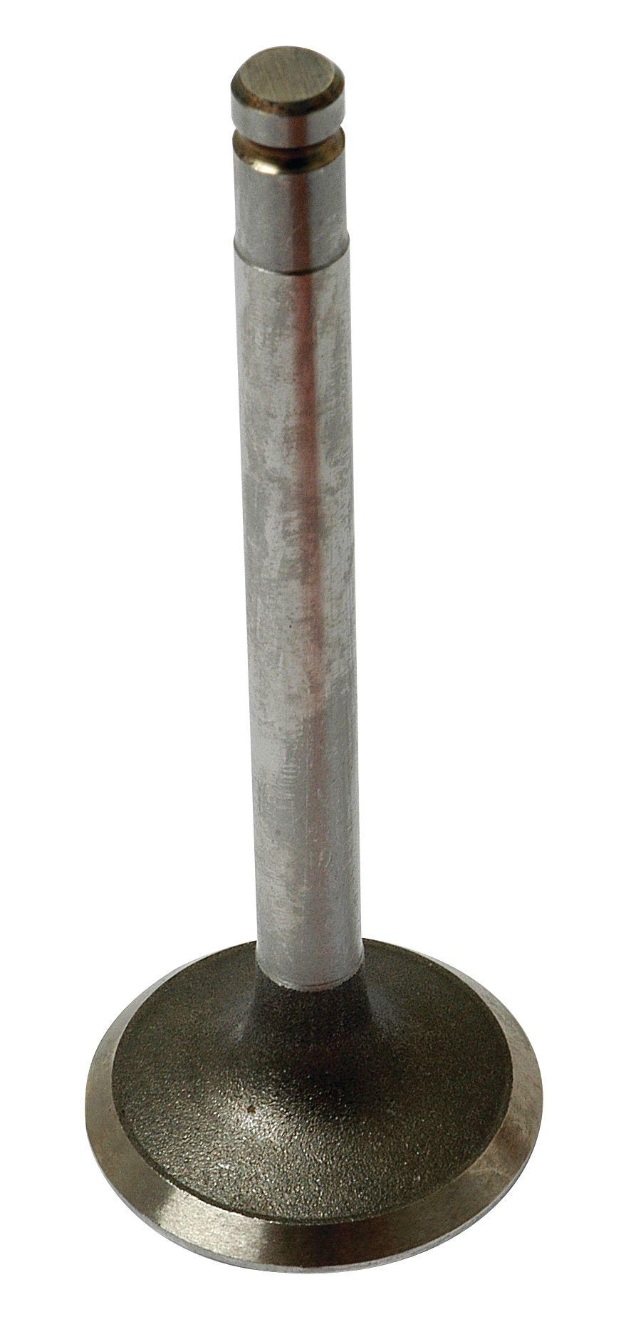 MASSEY FERGUSON VALVE-INLET +0.015" 40481