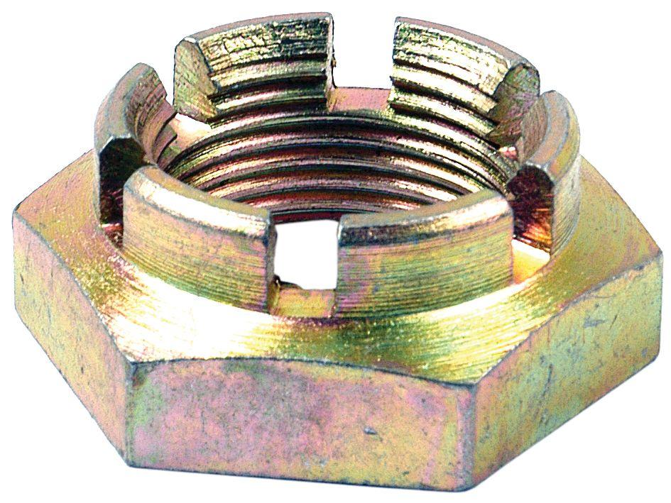 LANDINI NUT/CASTLE/FULL(UNF)1.1/4" 40214