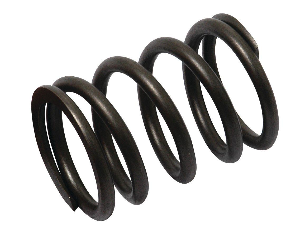 FIAT SPRING-VALVE 62066