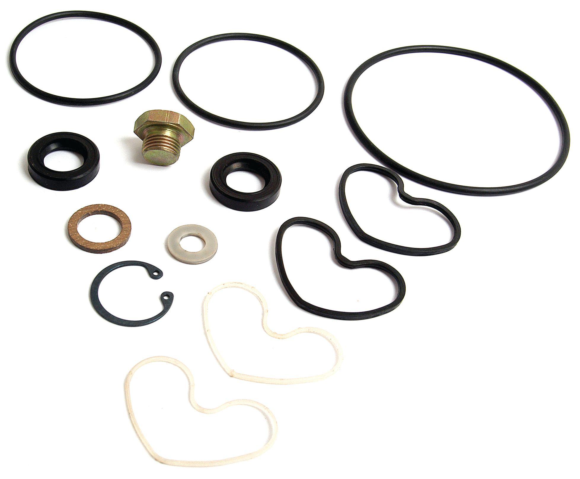 LANDINI SEAL KIT 41597