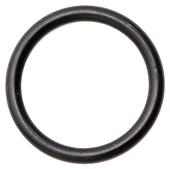 MASSEY FERGUSON O'RING-31X4MM 42299