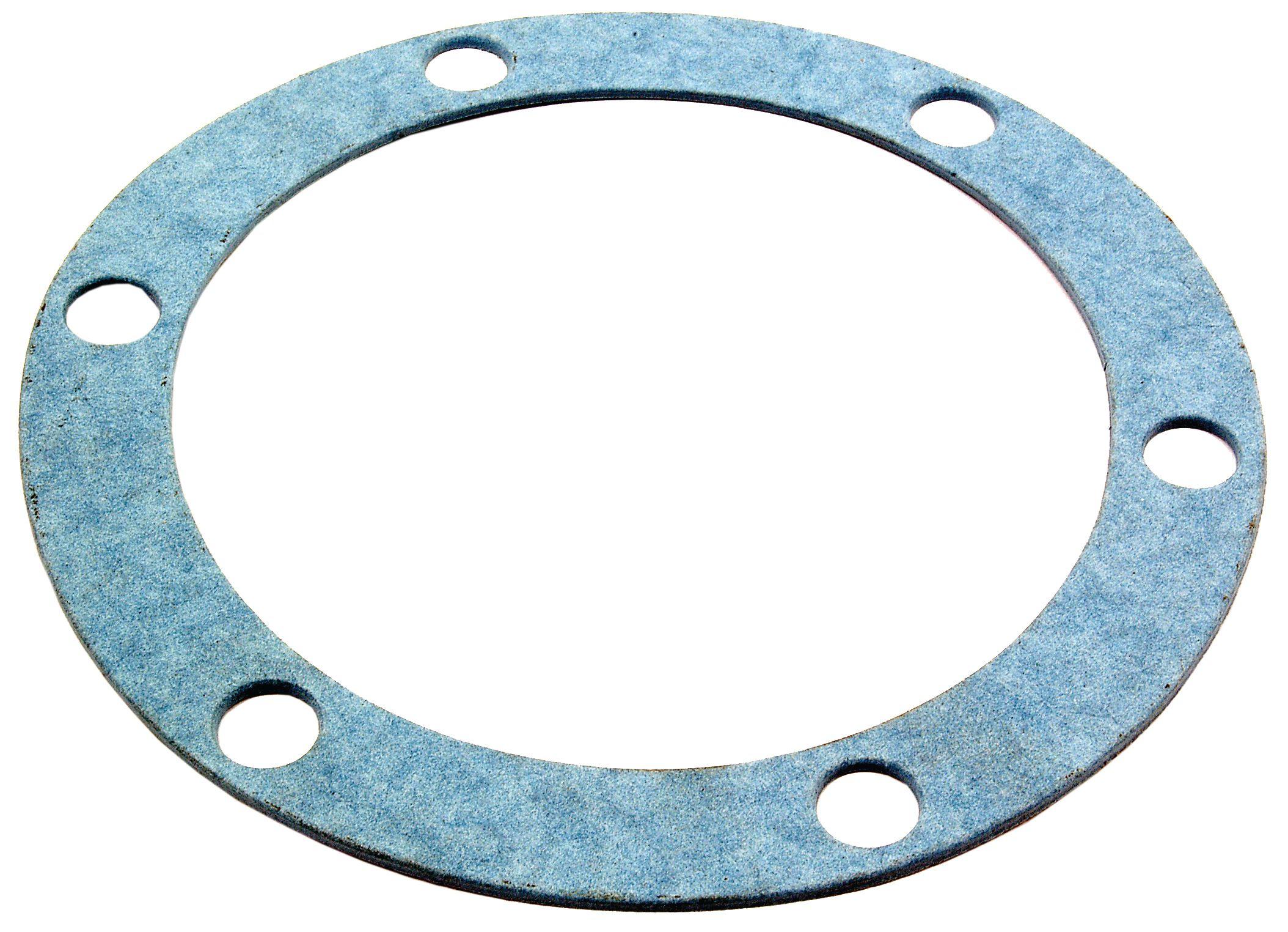 LANDINI GASKET-SIDE PLATE 43493