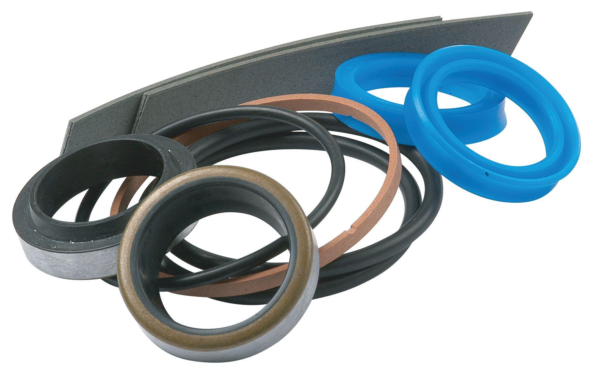 LANDINI SEAL KIT 43431
