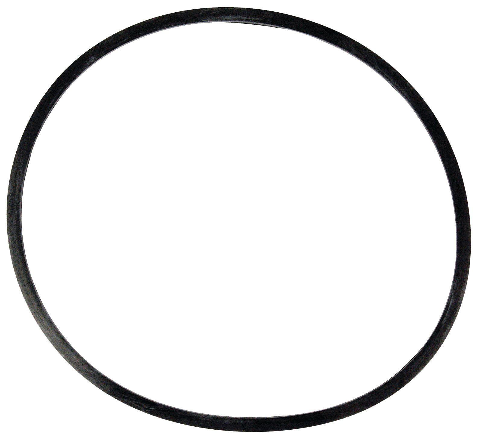 FORD NEW HOLLAND SEAL-SQUARE SECTION 41814