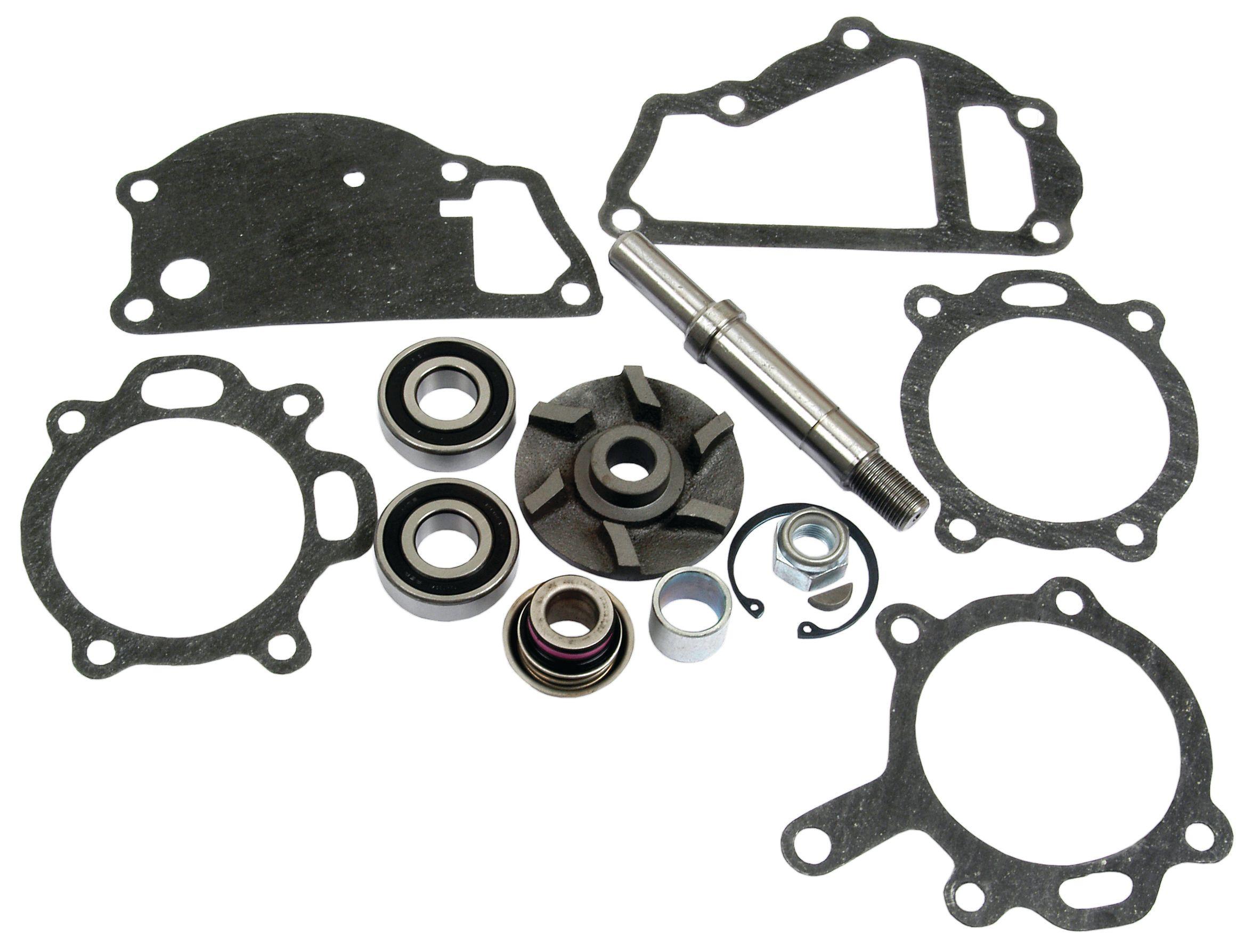 MASSEY FERGUSON WATER PUMP REPAIR KIT 40047