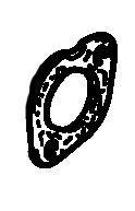 MASSEY FERGUSON TRACTOR GASKET (AGCO) 4222915M1