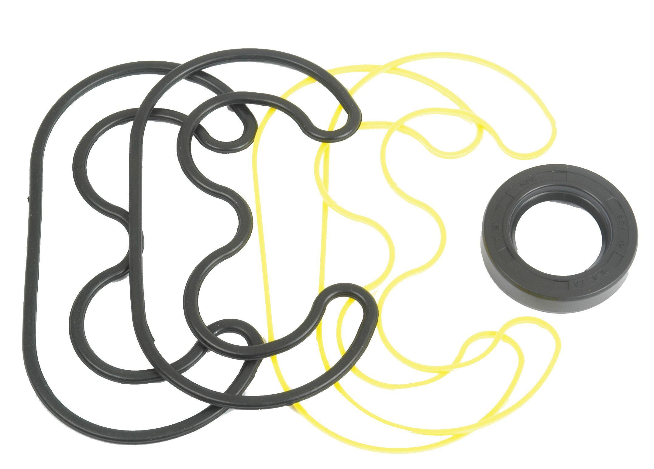 CASE IH SEAL KIT 57310
