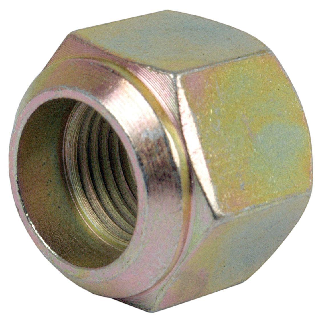 LANDINI WHEEL NUT 41313