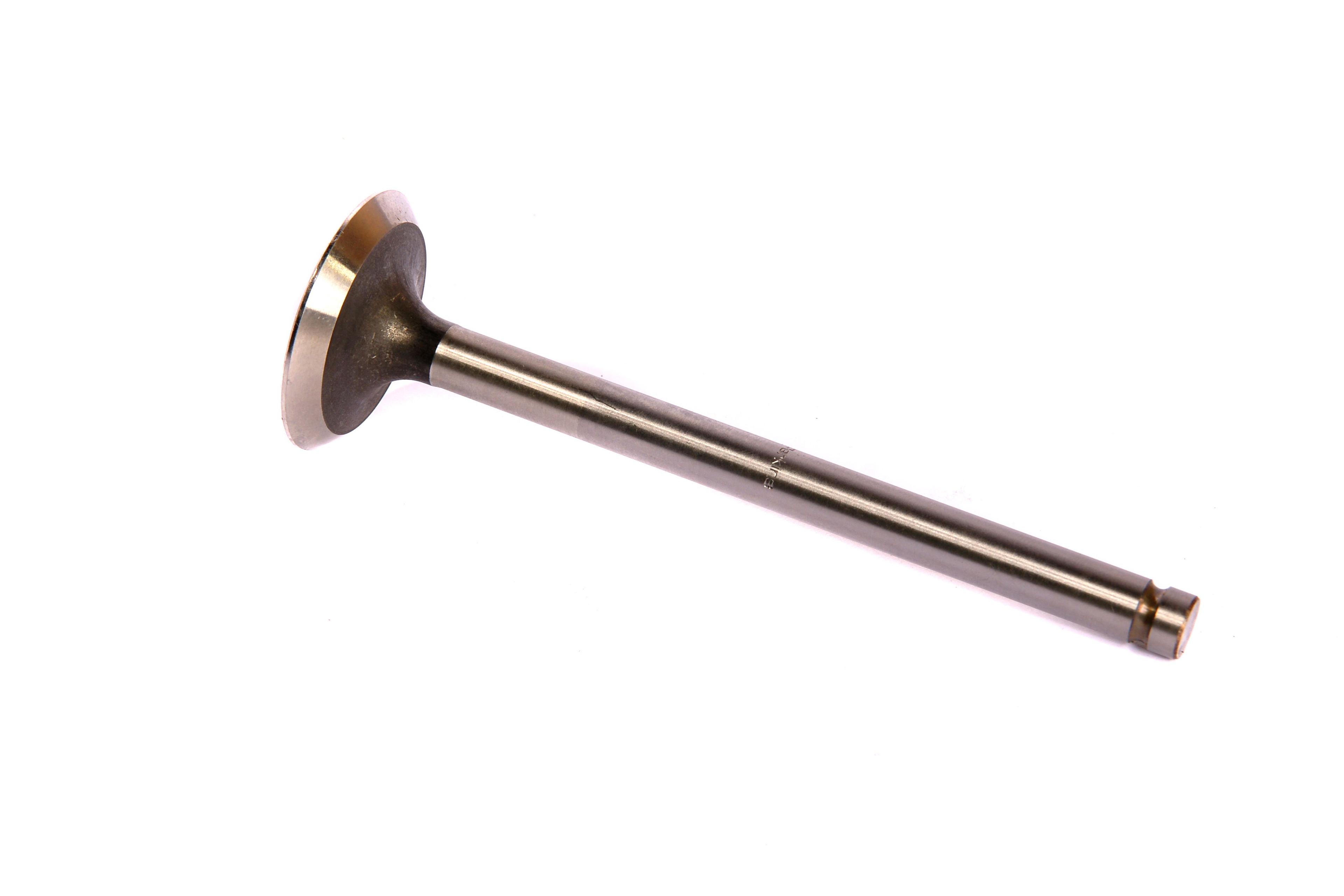 MASSEY FERGUSON TRACTOR EXHAUST VALVE (AGCO) 738944M1