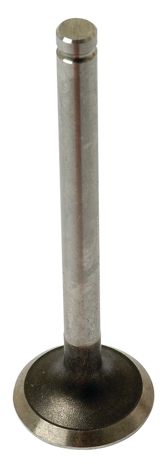 LANDINI VALVE-EXHAUST 41745