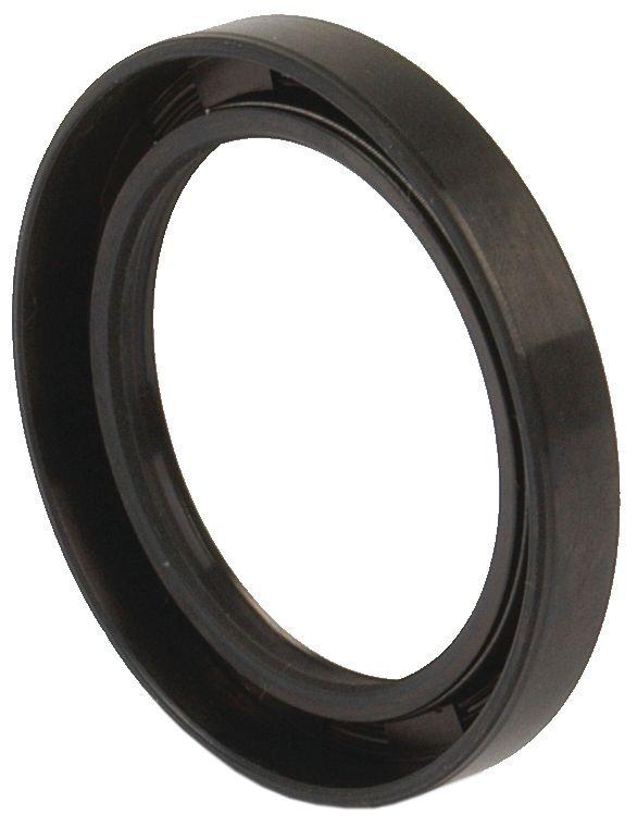 LANDINI SEAL-50X68X10MM D/LIP 50374