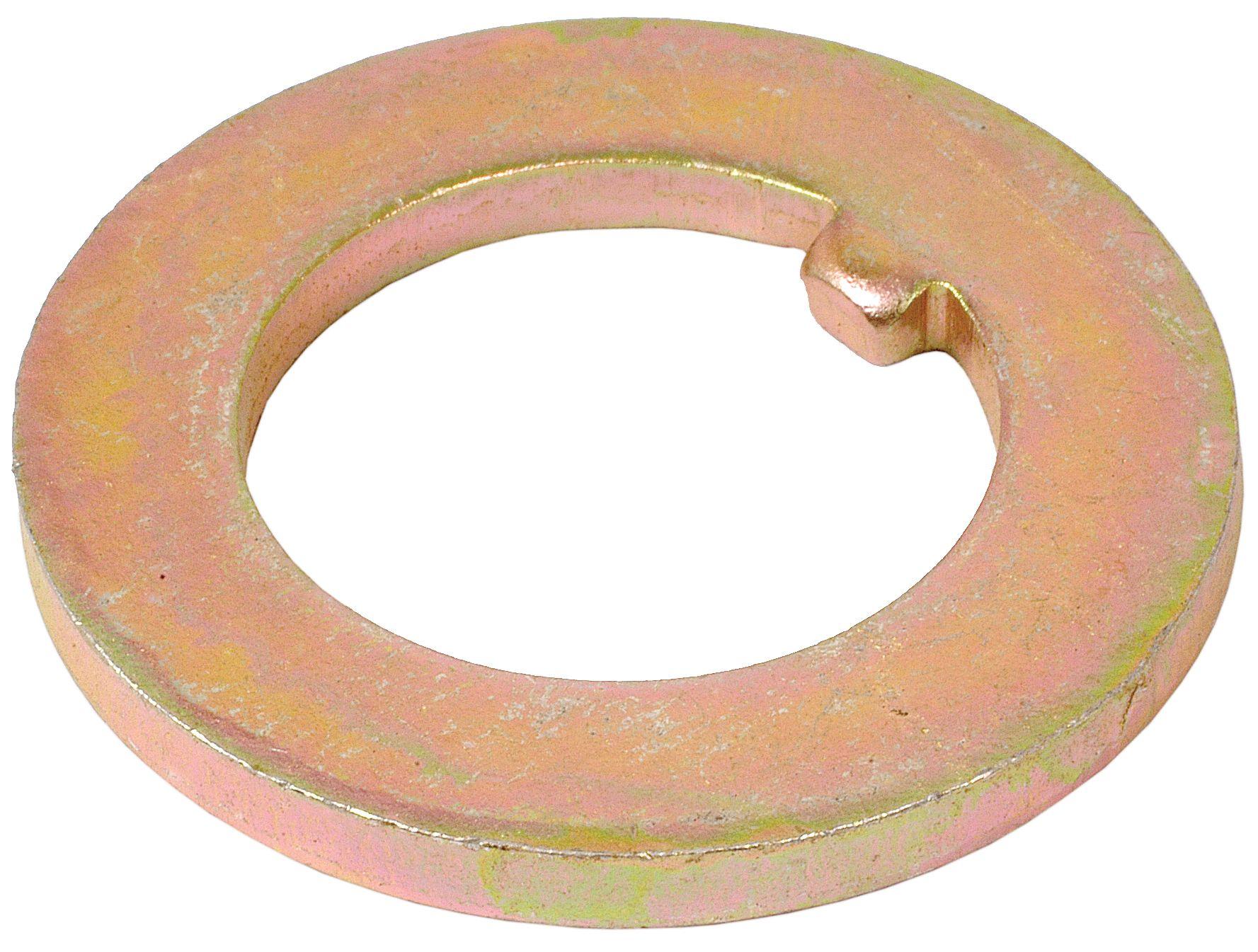 LANDINI SPINDLE WASHER 41338