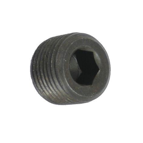 LANDINI PLUG-3/8"NPT 40872