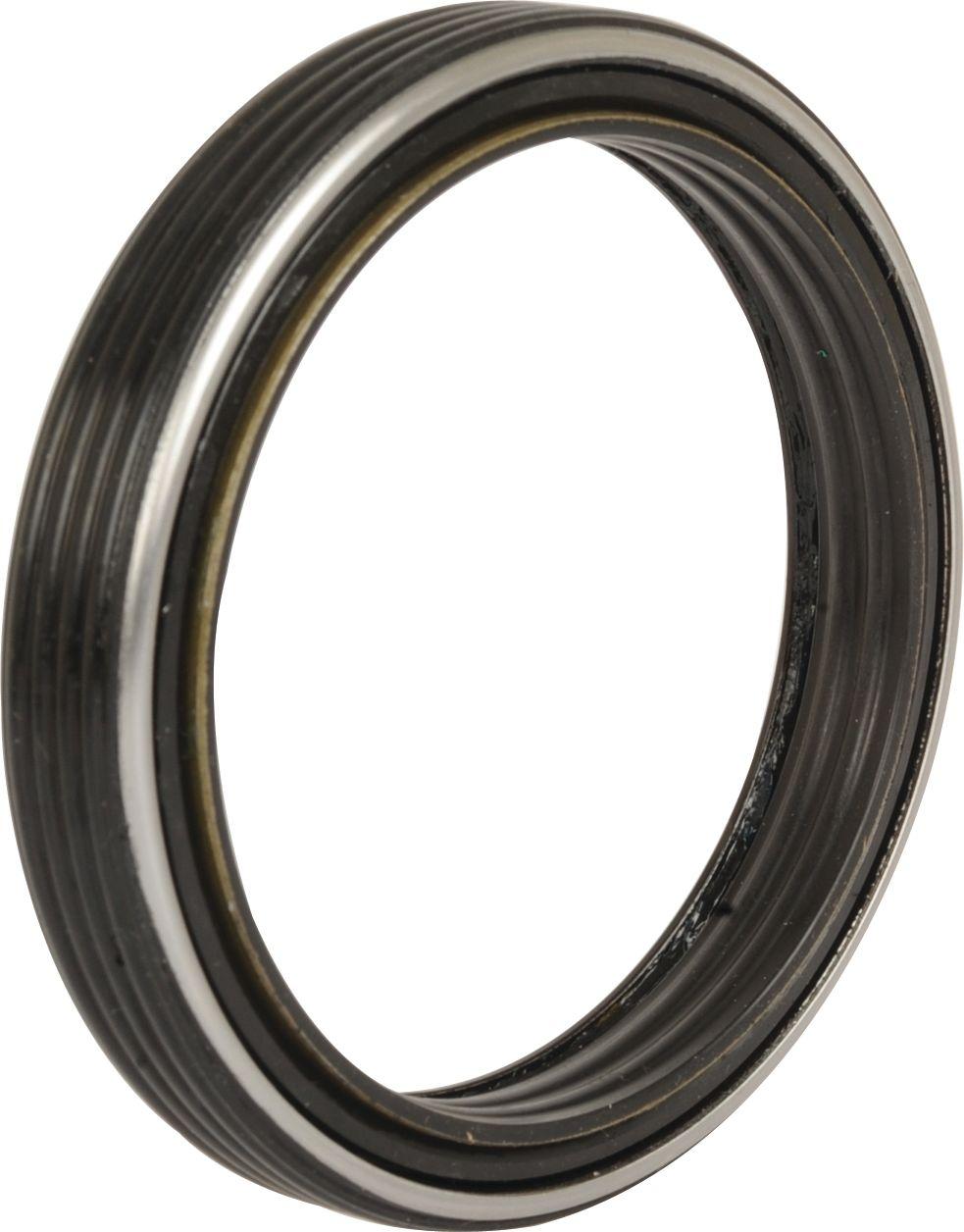 LANDINI OIL SEAL 107382