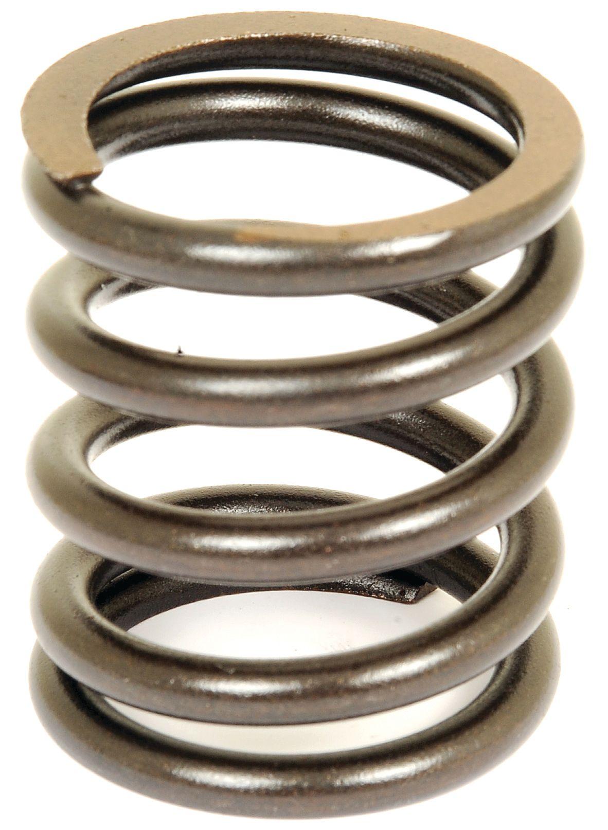 LANDINI VALVE SPRING 107282