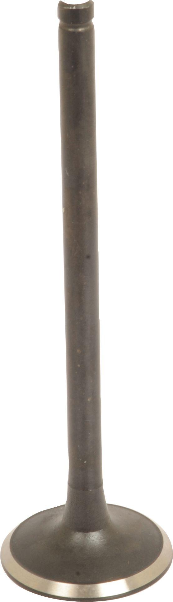 FIAT EXHAUST VALVE 107500