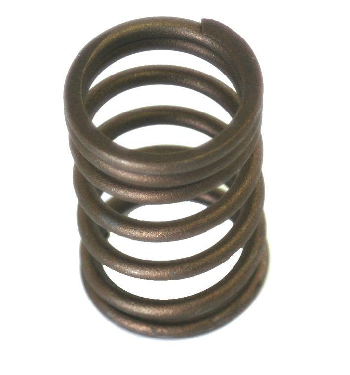 LANDINI SPRING-VALVE-INNER 30014