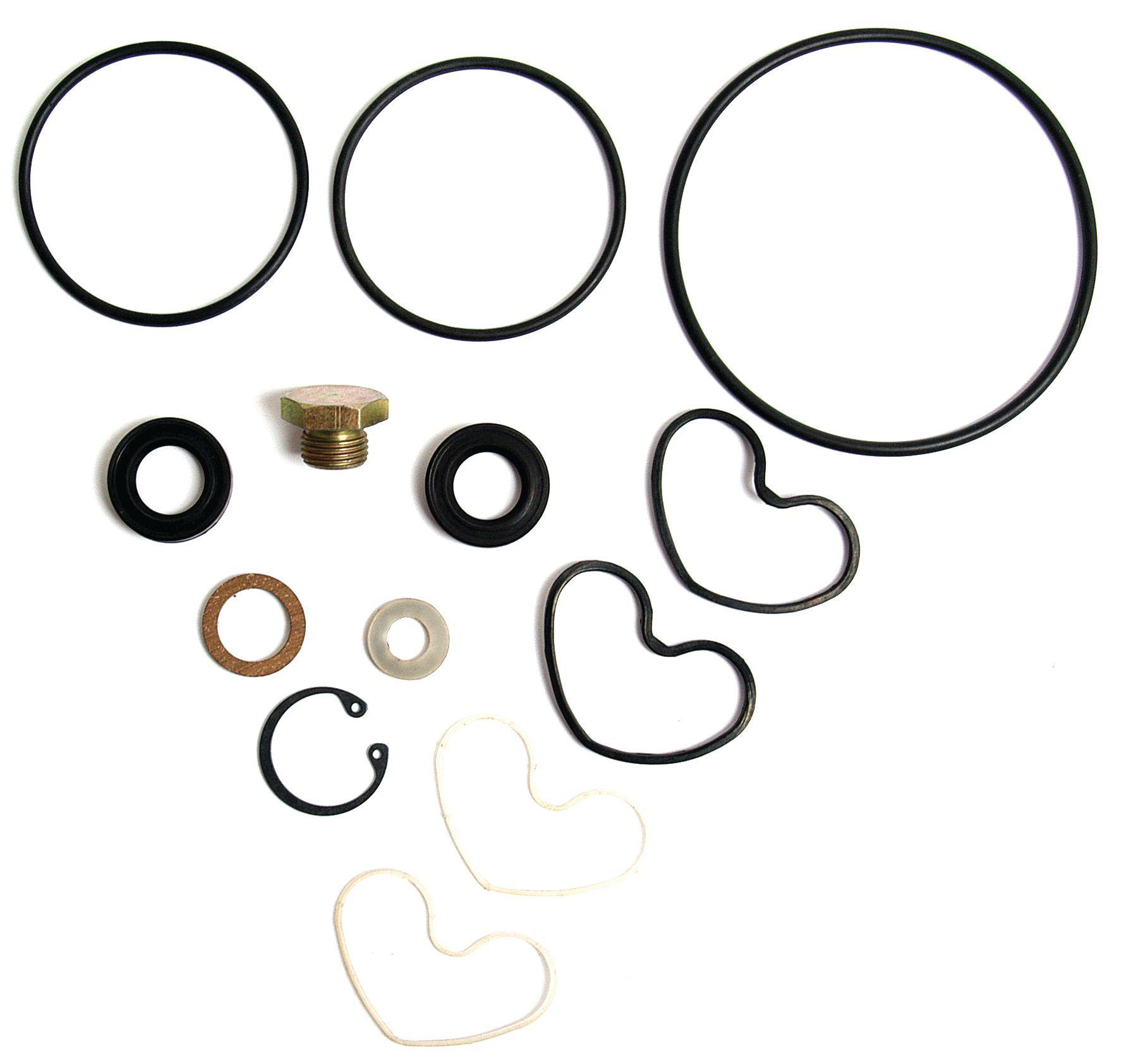 LANDINI SEAL KIT 41597