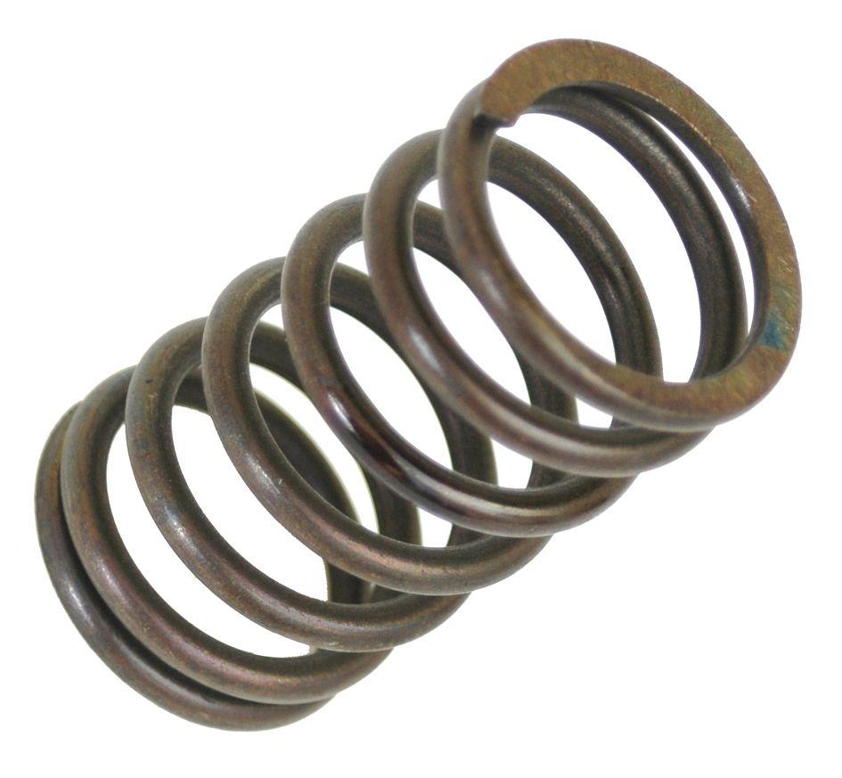 DEUTZ-FAHR VALVE SPRING 312016