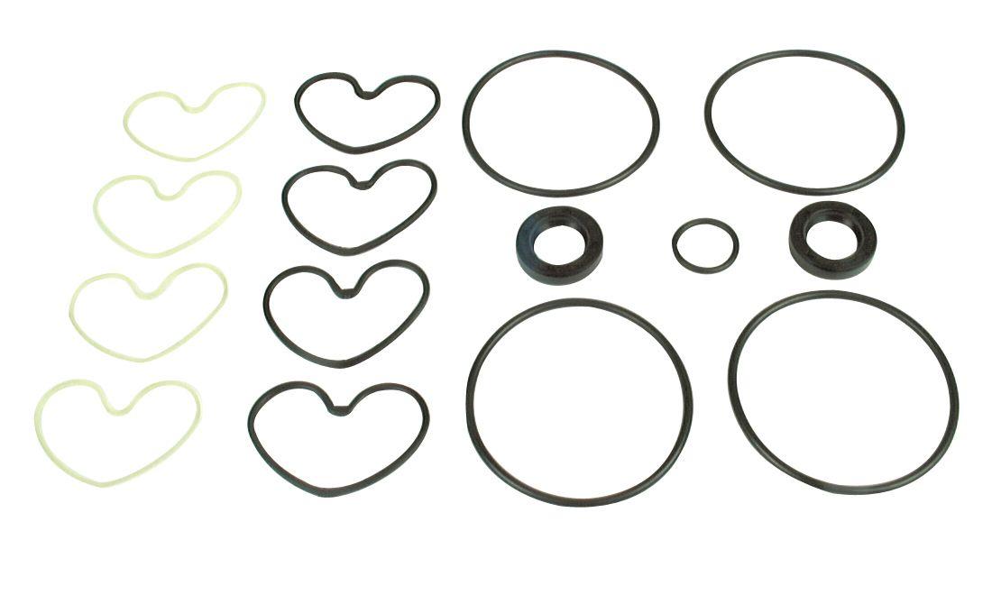 LANDINI SEAL KIT 42942