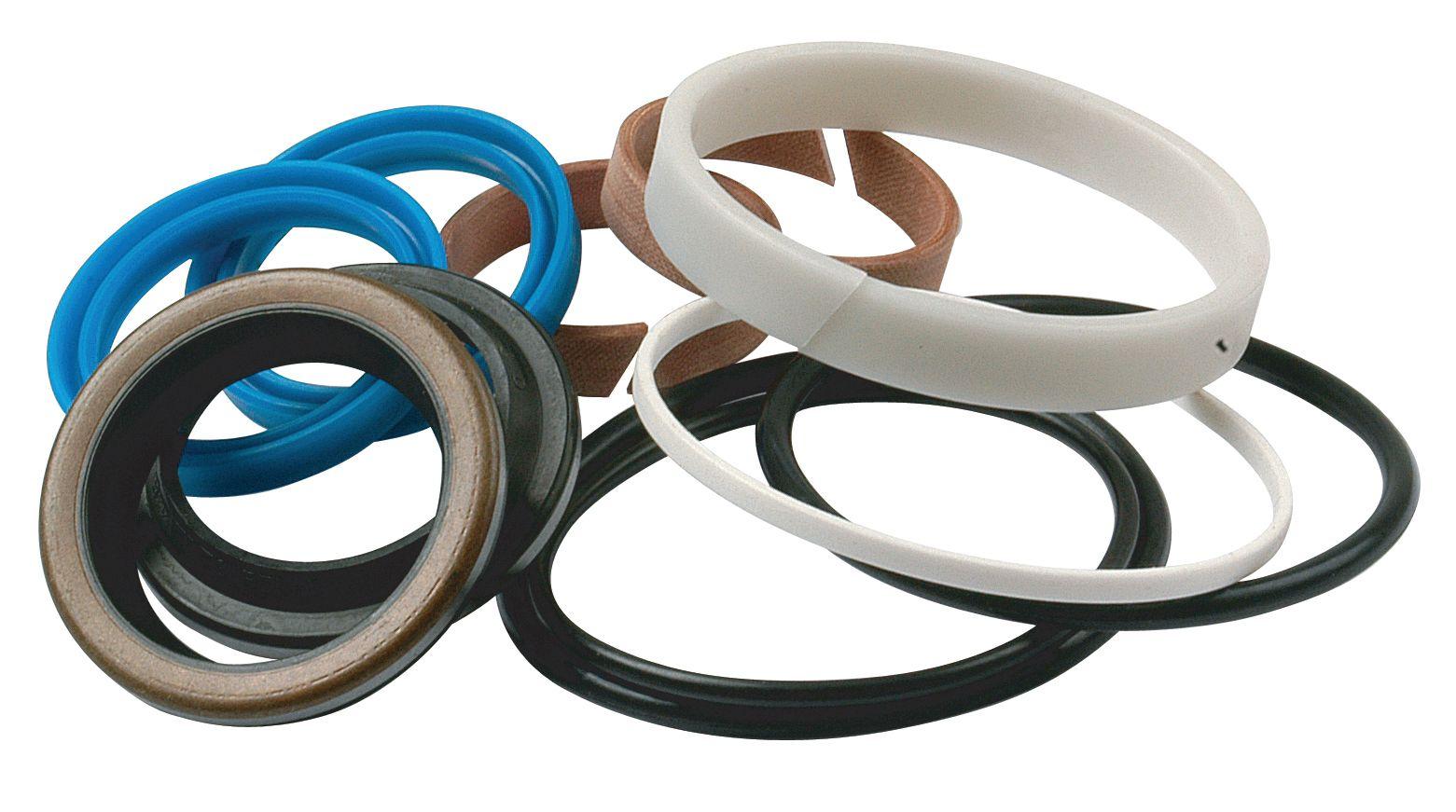 LANDINI SEAL KIT 43430