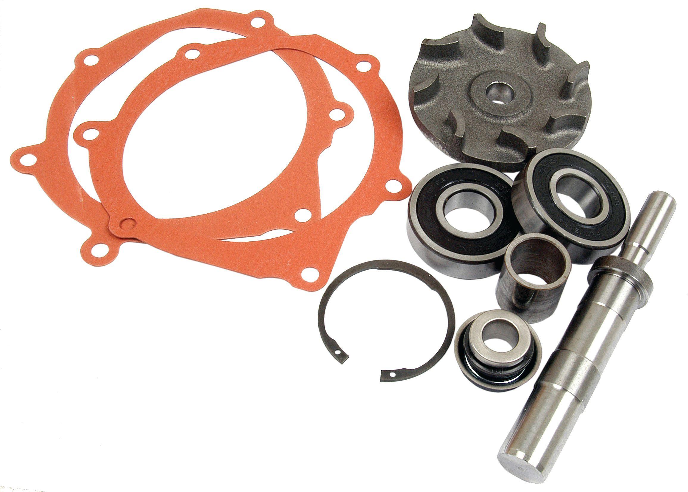 LANDINI WATER PUMP REPAIR KIT 42443
