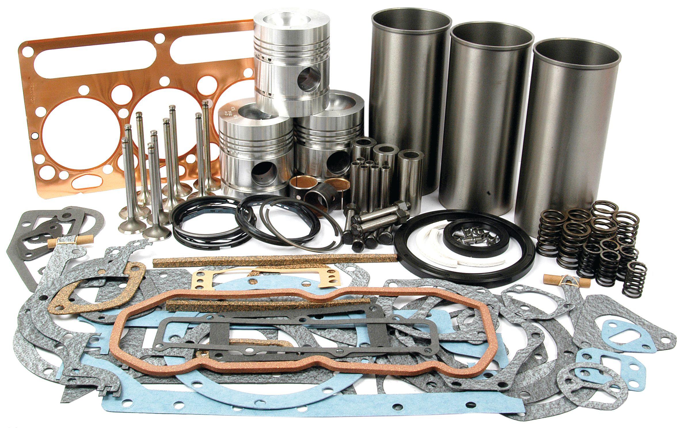 LANDINI ENGINE OVERHAUL KIT 40391