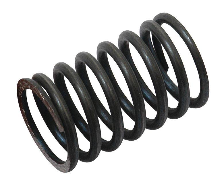 VOLVO SPRING-VALVE-INNER 40500