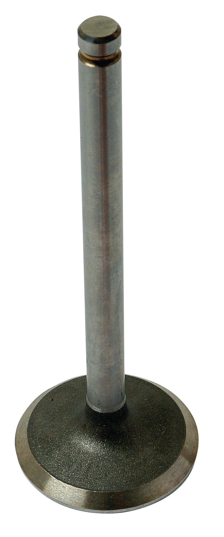 MASSEY FERGUSON VALVE-INLET 41747