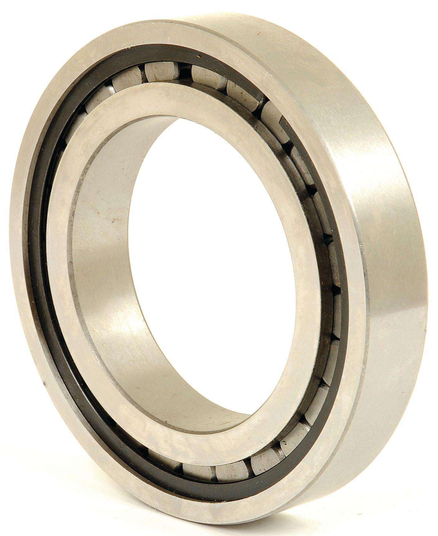 LANDINI BEARING 107345