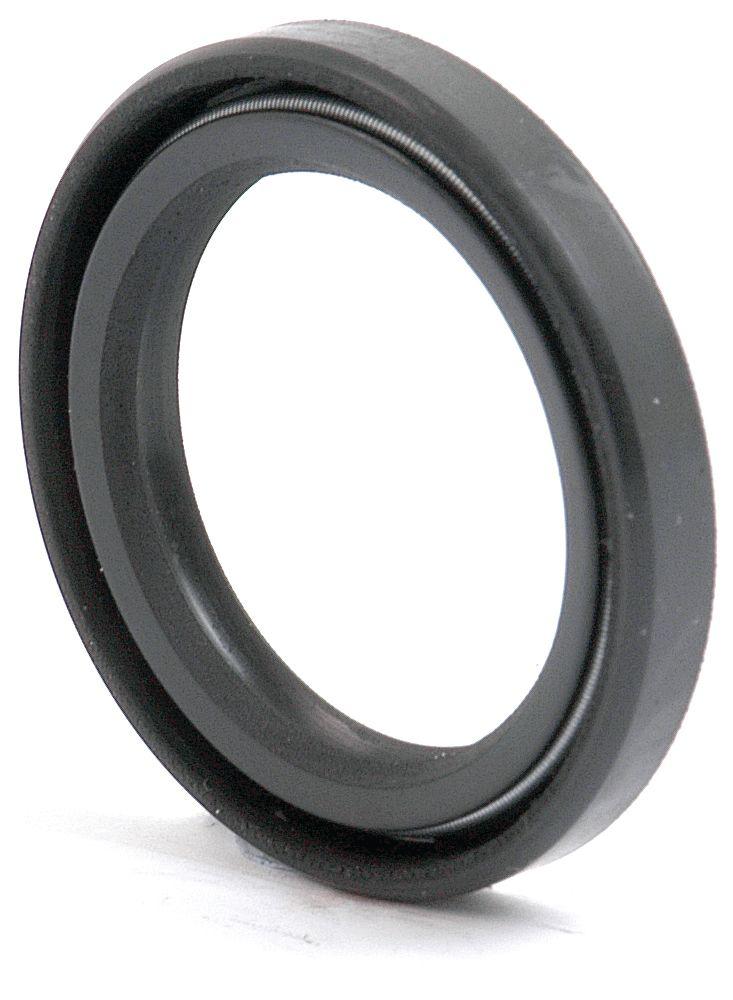 MASSEY FERGUSON SEAL 41618