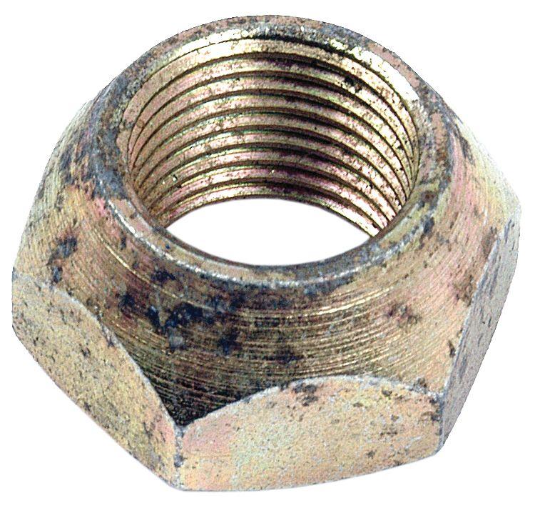 LANDINI NUT 17348