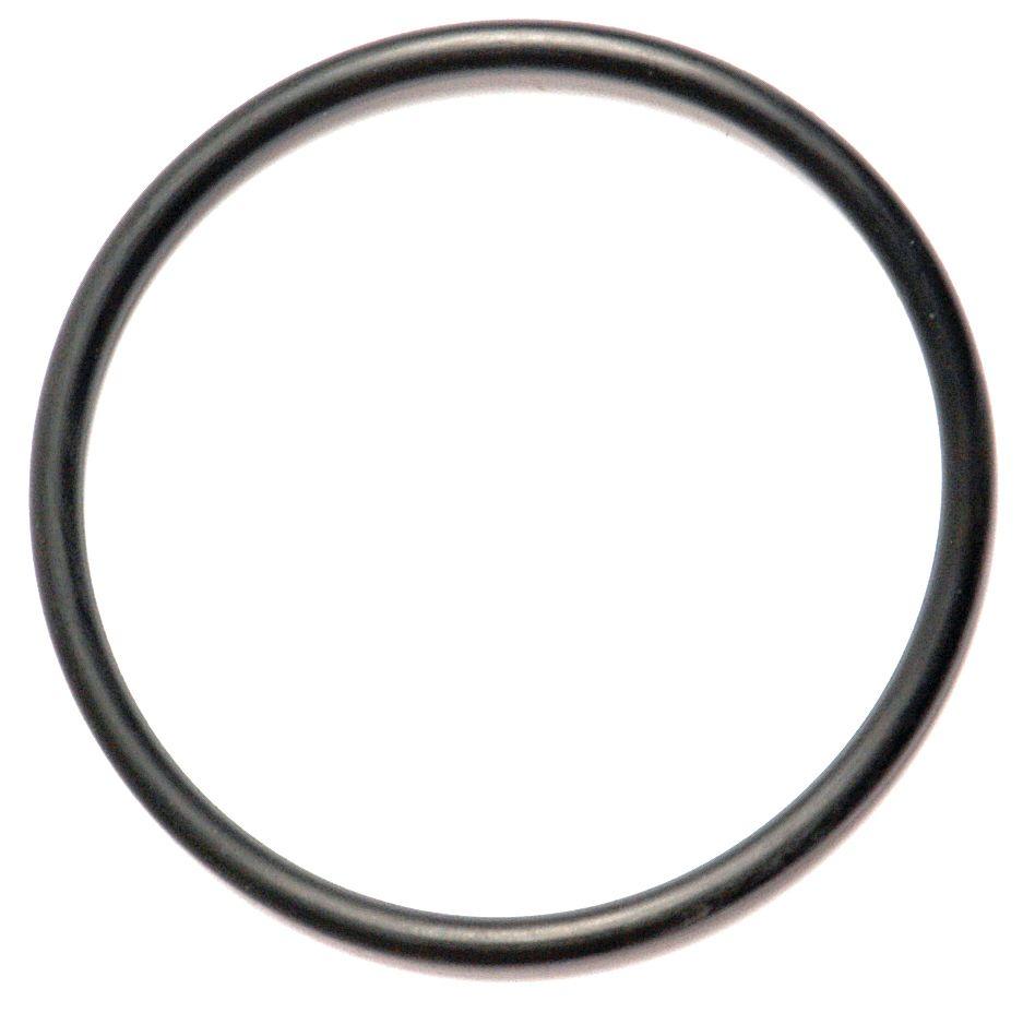 LANDINI O'RING-1/8"X2.1/8" 1948