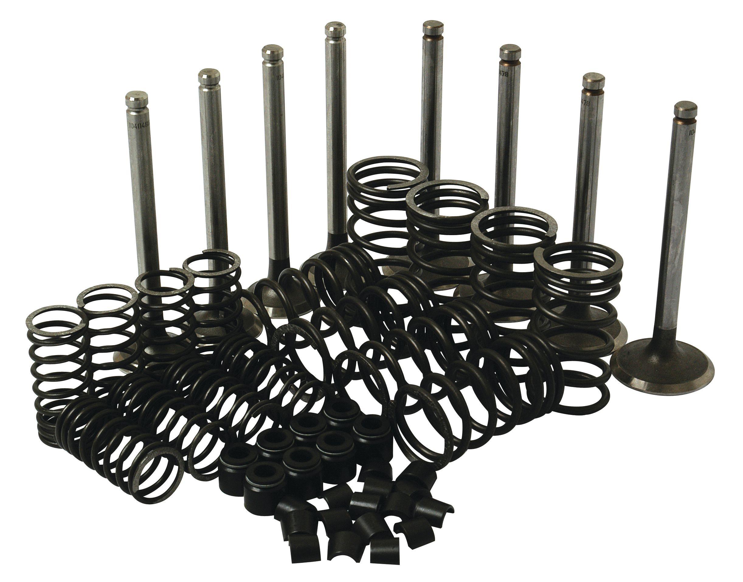 LANDINI VALVE TRAIN KIT 41588