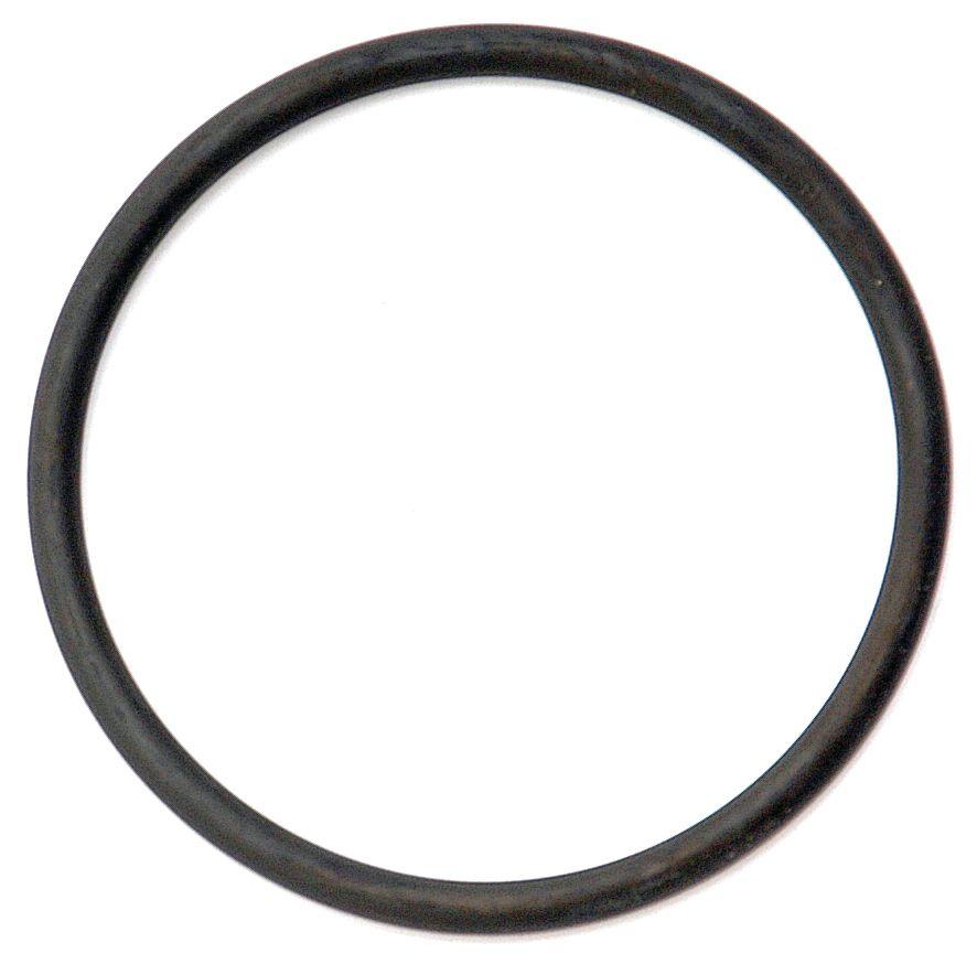 FIAT O'RING 66304