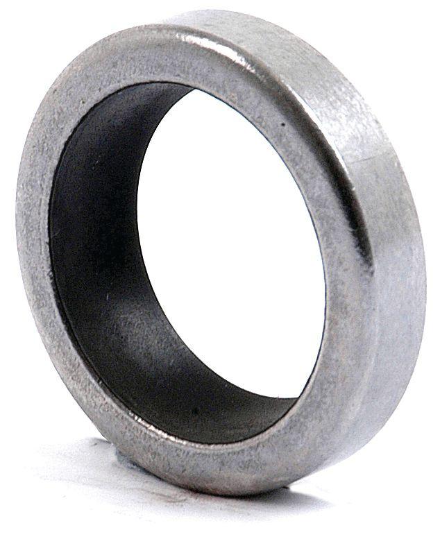 LANDINI OIL SEAL 43102